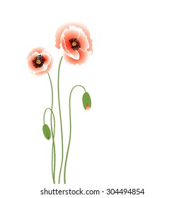 Poppies