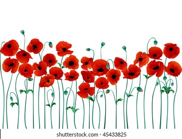 Poppies