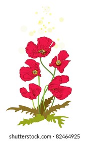 Poppies
