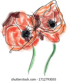 poppies art watercolor digital illustrations