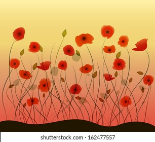 poppies background