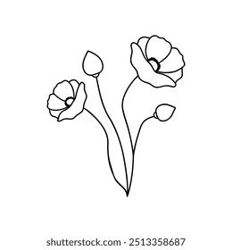 Poppies with branch line art, Outline, design template black and white