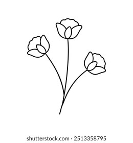 Poppies with branch line art, Outline, design template black and white