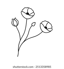 Poppies with branch line art, Outline, design template black and white