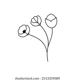 Poppies with branch line art, Outline, design template black and white