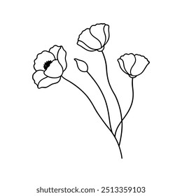 Poppies with branch line art, Outline, design template black and white