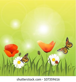 Poppies, camomile, ladybirds and butterflies on green field