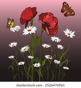 Poppies and daisies in illustration.Color vector illustration with red poppies, white daisies, butterflies and ladybugs.