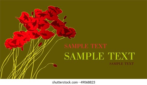 poppies decorative background illustration, vector