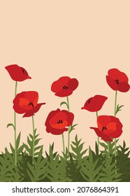 Poppies flower background.Eps 10 vector.