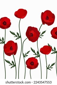 Poppies fondo floral.Eps 10 vector.