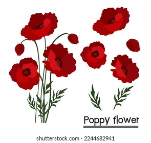 Poppies flower background.Eps 10 vector.