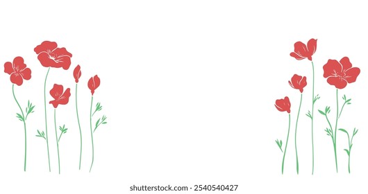 Plantilla de Anuncio de flores de amapolas. Flor roja de la amapola del campo con el follaje aislado en blanco. Ilustración vectorial de invitación simple minimalista