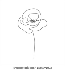 Poppies flower continuous line drawing. Abstract minimal poppy. Editable vector line. Poppy flower icon, logo, label. Doodles in black and white. Illustration. Handwriting. 