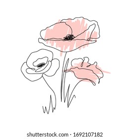 Poppies flower continuous line drawing. Abstract minimal poppy. Editable vector line. Poppy flower icon, logo, label. Doodles in black and white. Illustration. Handwriting