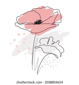 Poppies flower continuous line drawing. Abstract minimal poppy. Editable vector line. Poppy flower icon, logo, label. Doodle. Vector illustration. Typography of clothes, shirts, t-shirts.