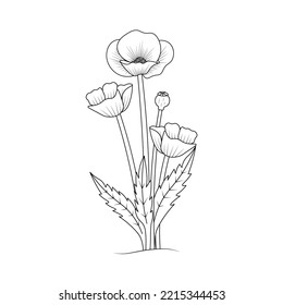poppies flower line art design of coloring page flower with detailed line art vector graphic.
blossom monochrome free hand drawing element sketch design of colorful poppy.