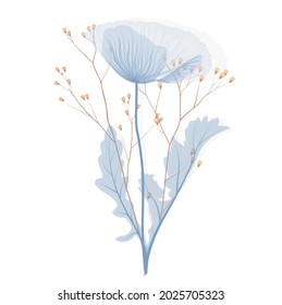 Poppies  flower vector stock illustration. Soft blue petals. Nature. Minimalist floral wedding invitation card template design. Isolated on a white background.