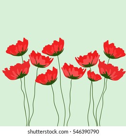 poppies flowers
