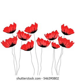 poppies flowers