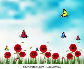 Poppies flowers background