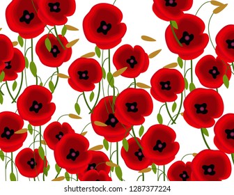 Poppies flowers background