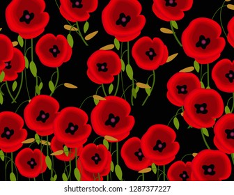 Poppies flowers background