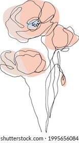 Poppies flowers continuous line drawing  Vector illustration  Wild flowers minimalist desigh 