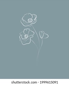 Poppies flowers continuous line drawing. Editable line. white line illustration on a dark background.