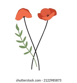 
Poppies. Flowers. Cottage core. Flat design. Hand drawn vector