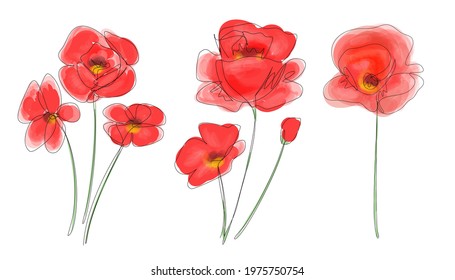 Poppies flowers in digital watercolour and continuous line drawing. Red poppy collection. Outline simple artwork with editable stroke. Vector illustration.