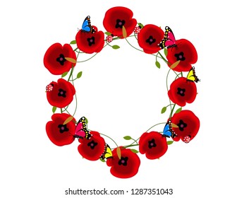 Poppies flowers frame
