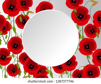 Poppies flowers frame