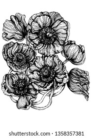 poppies flowers illustration pattern vector