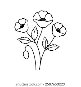 Poppies flowers line art vector