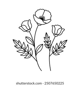 Poppies flowers line art vector