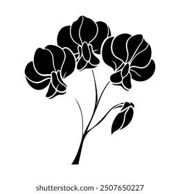 Poppies flowers line art vector