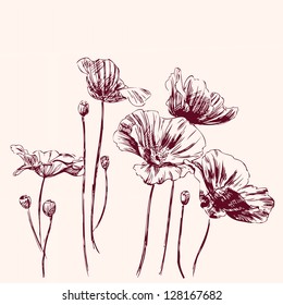 poppies flowers - vintage hand drawn vector illustration