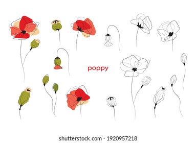 Poppies in graphics. Set of beautiful poppies.