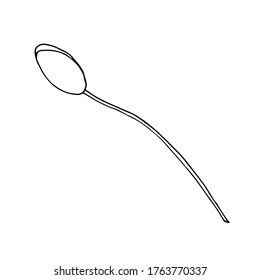 Poppies, hand-drawn illustration. Hand drawn poppy flower isolated on a white background. Hand drawn illustrations.