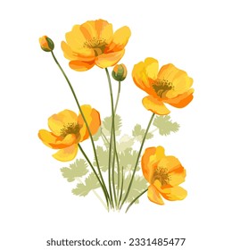 Poppies isolated. Watercolor orange flowers with green stem and leaves. Vector illustration.