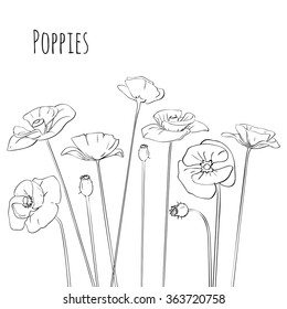 Poppies line art brush set isolated on white background. Vector illustration