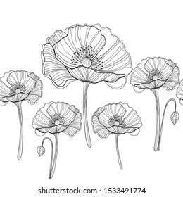 Poppies are made in black and white. The pattern can be applied to fabrics.