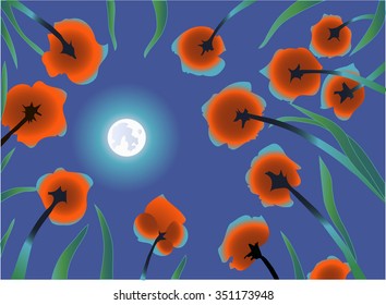 poppies in the moonlight