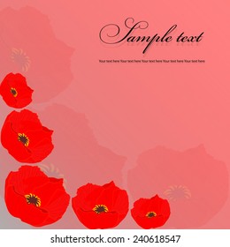 Poppies on a pink background.
