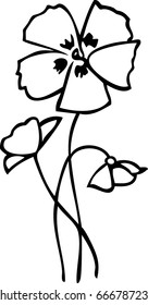 Poppies on a white background