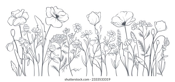 Poppies and other wild flowers. Sketch in lines, freehand drawing. Vector illustration, summer background, flower meadow.	