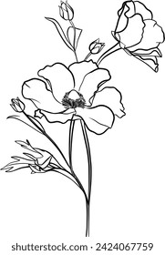 Poppies outline illustration, coloring book page