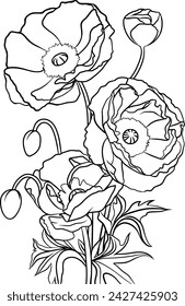 Poppies outline illustration on transparent background. Coloring book page	
