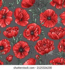 Poppies Pattern Flowers vector. Drawn by a color on a grey background. Flowers for the memorial. Remembrance day. 